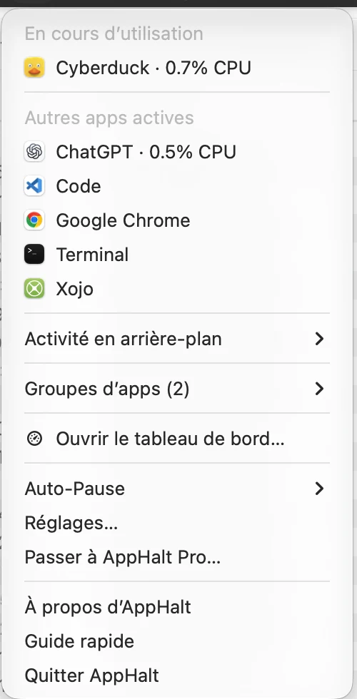 Le menu AppHalt en français, avec l’app utilisée et les autres apps actives.